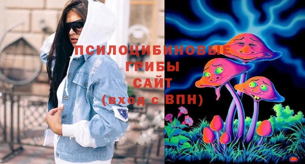 бошки Аркадак