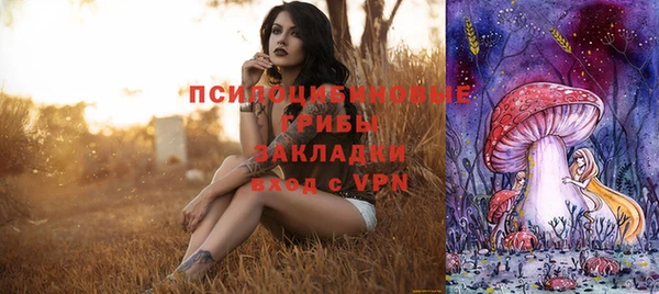 круглые Арсеньев