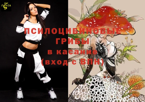 бошки Аркадак
